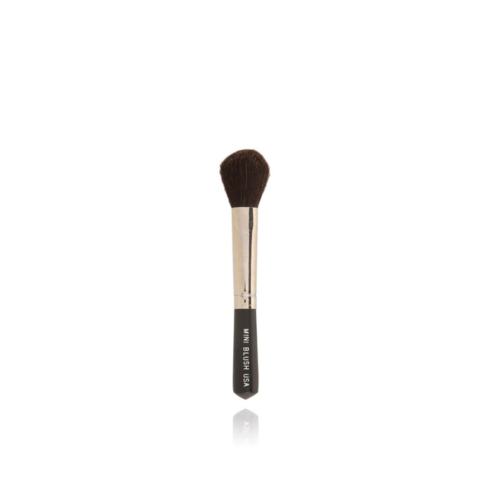 Artist Select Mini Blush Brush