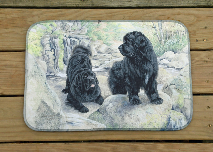 Fun on the Rocks - dish mat