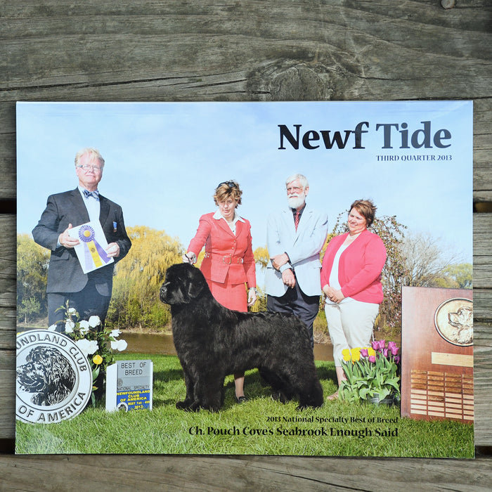 Newf Tide Third Quarter 2013