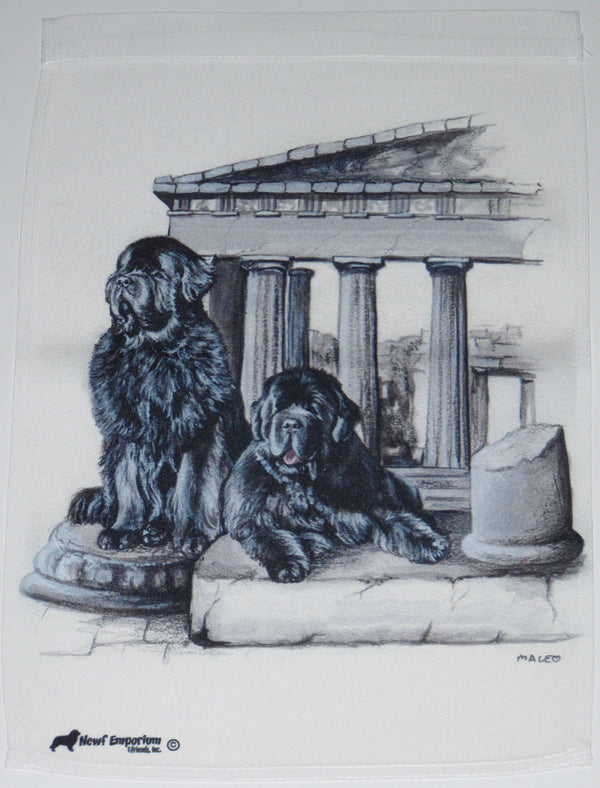 Parthenon - Full Sized Flag