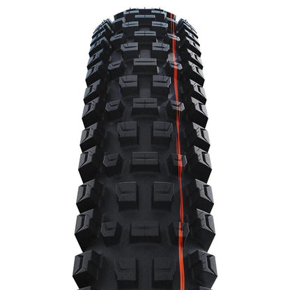 Albert Trail Pro