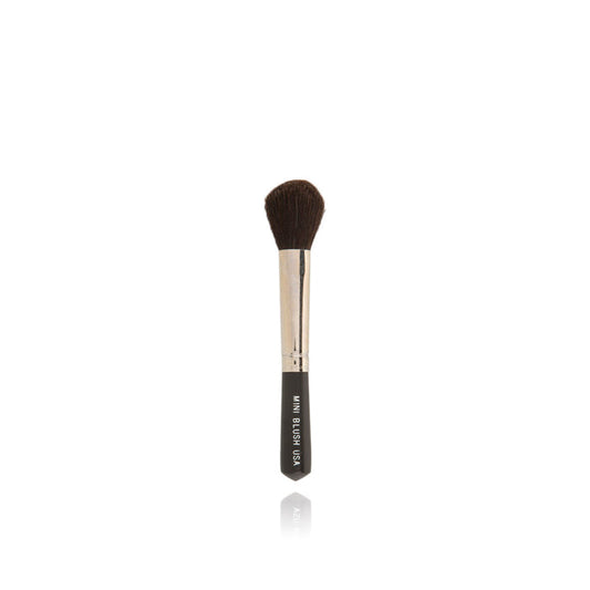 Artist Select Mini Blush Brush