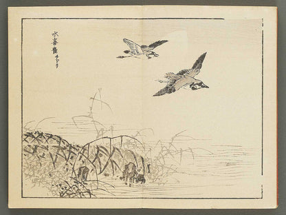Bairei gafu (Kacho no bu) by Kono Bairei / BJ351-113