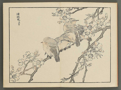 Bairei gafu (Kacho no bu) by Kono Bairei / BJ351-113