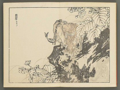 Bairei gafu (Kacho no bu) by Kono Bairei / BJ351-113