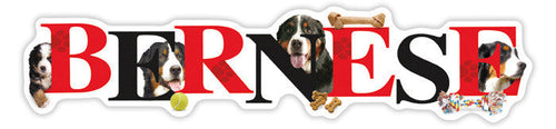 Bernese Alphapet - Magnet