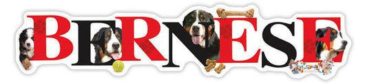 Bernese Alphapet - Magnet