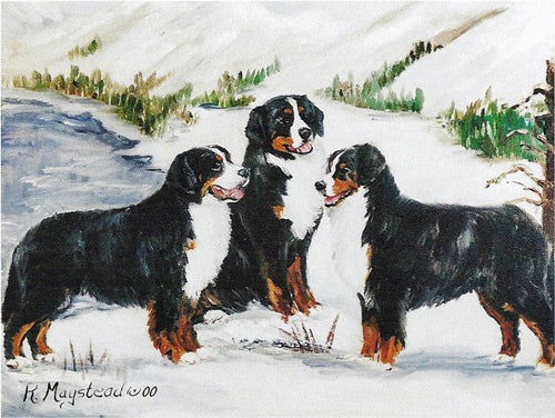 Bernese Blank Note Cards 3 dogs