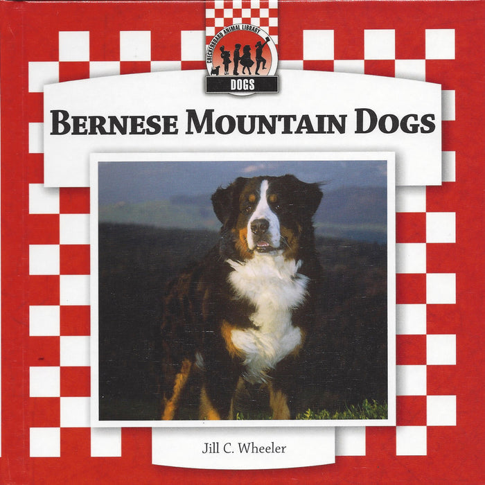 Bernese Mountain Dogs
