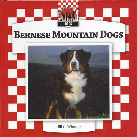 Bernese Mountain Dogs