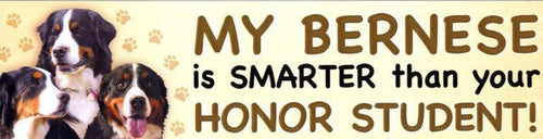 Bernese Smarter Than... - Magnet