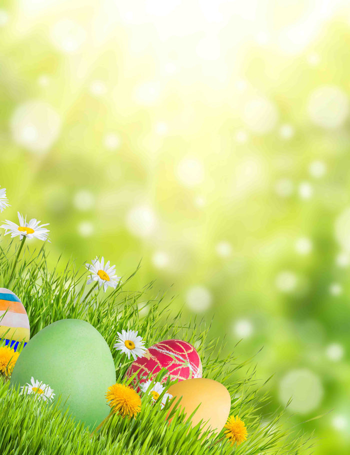 Bokeh Sunshine Easter Eggs Grass Wild Flower Backdrops Shopbackdrop
