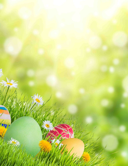 Bokeh Sunshine Easter Eggs Grass Wild Flower Backdrops Shopbackdrop