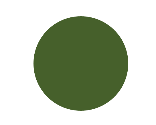 Olive Skin