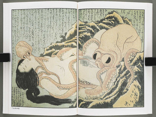 Ezoshi Konoe no komatsu Volume 3 by Katsushika Hokusai / BJ346-437