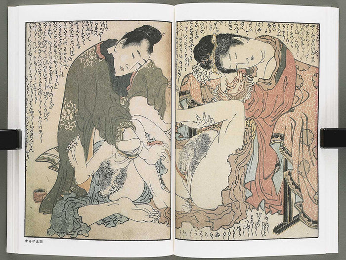Ezoshi Konoe no komatsu Volume 3 by Katsushika Hokusai / BJ346-437