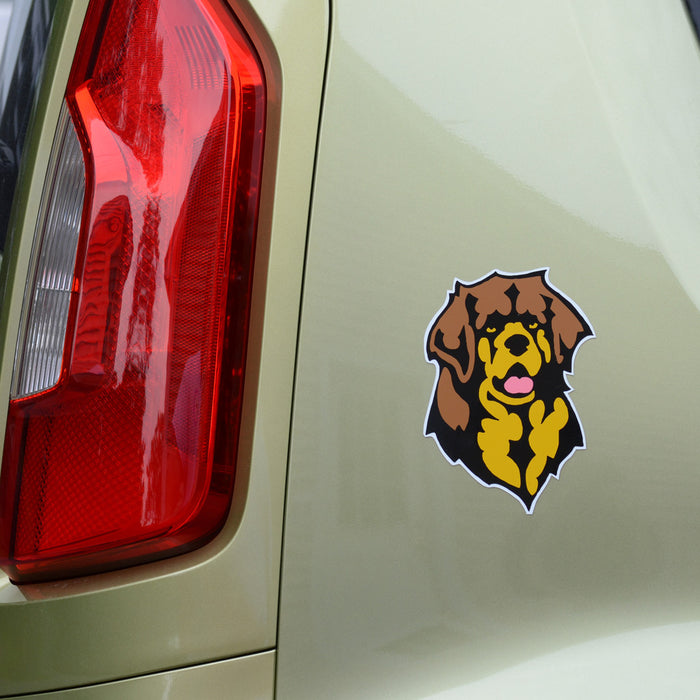 Full Color Leo Head Magnet