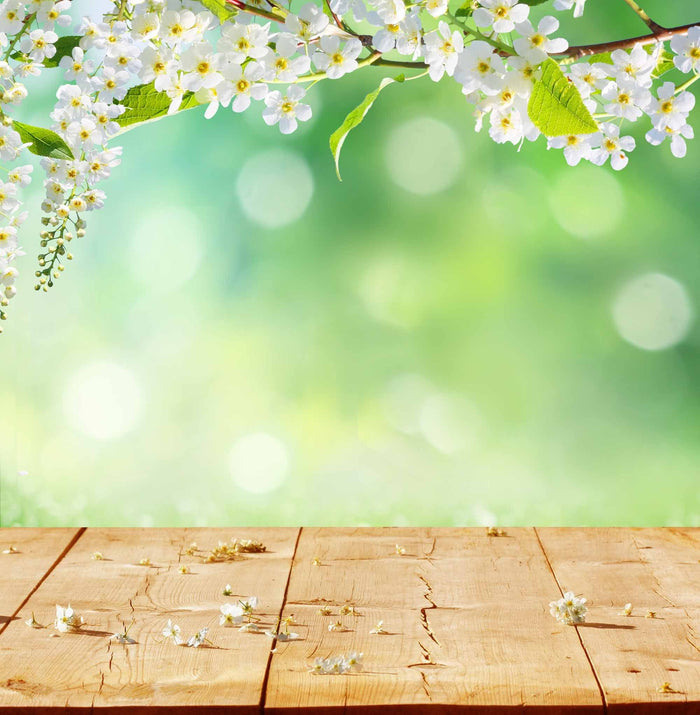Green Bokeh In Sunlight With Floor Background For Spring Backdrop Shopbackdrop