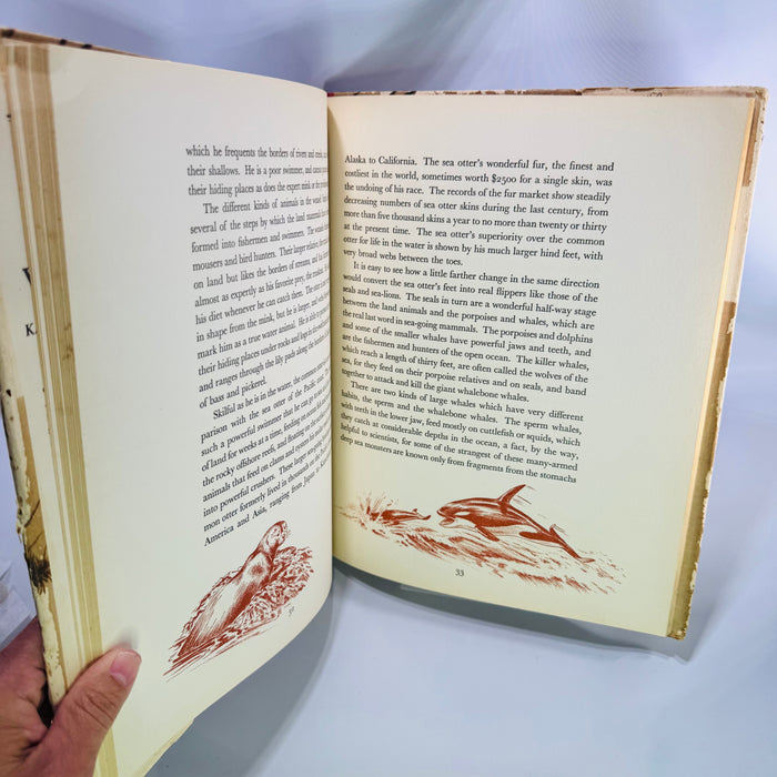 Homes and Habits of Wild Animals by Karl Patterson Schmidt 1934 Hardcover with Dust Jacket Walter Alois Weber Illustrations