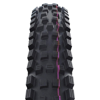 Magic Mary Trail Pro