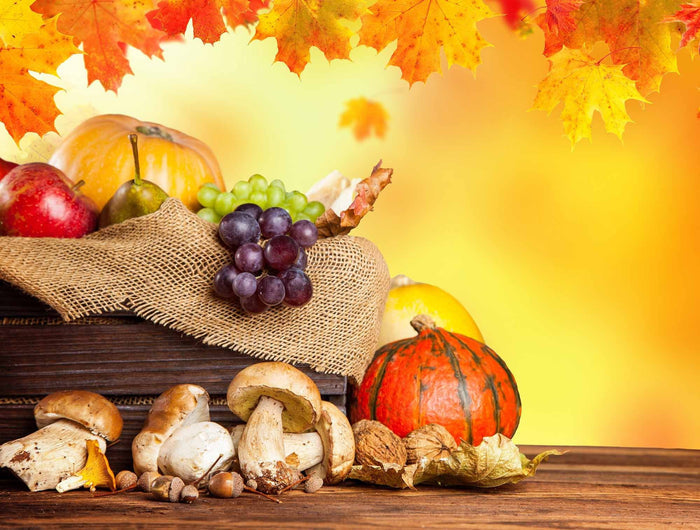 Maple Leaf Pumpkin Grape And Mushrooms On Floor For Halloween Backdrop Shopbackdrop
