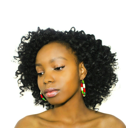 Mexico Hoop Earrings