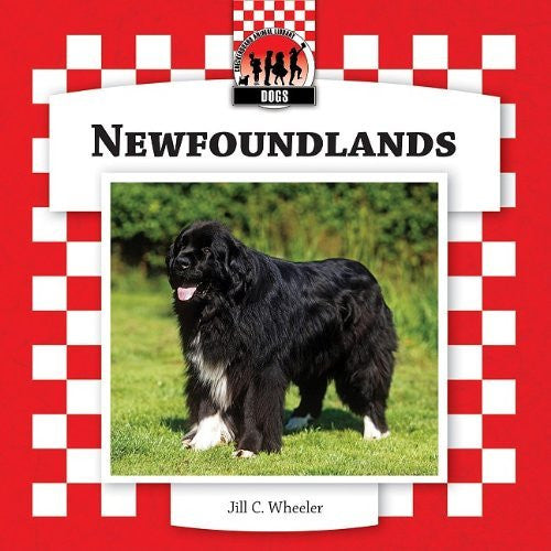 Newfoundlands