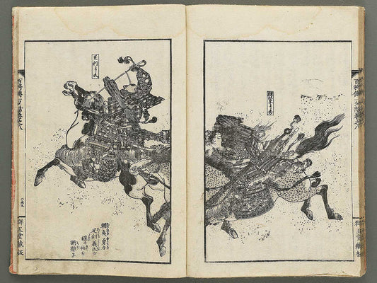 Nihon hyakushoden issekiwa Volume 8 by Yanagawa Shigenobu / BJ348-817