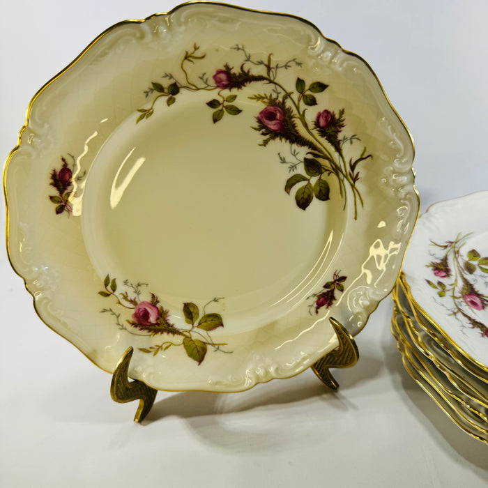 Royal Heidelberg Winterling Rose Brier 8 Inch Plates Set of 8