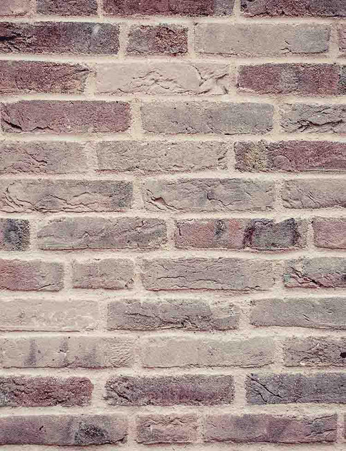 Senior Red Brick Wall Texture Photography Backdrop Shopbackdrop
