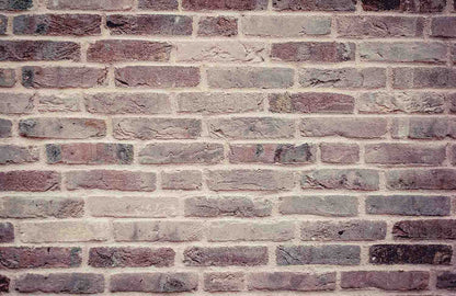 Senior Red Brick Wall Texture Photography Backdrop Shopbackdrop