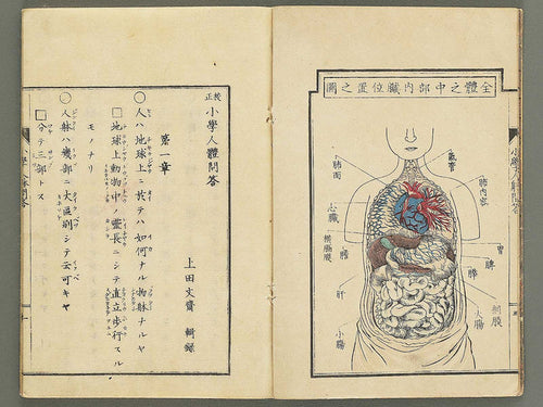Shogaku jintai mondo / BJ352-884
