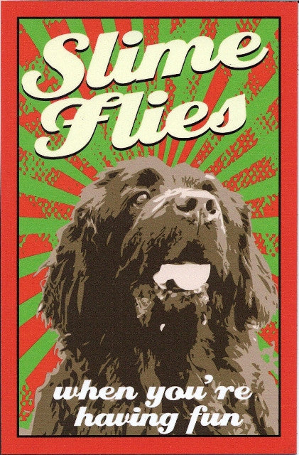 Slime Flies - Magnet