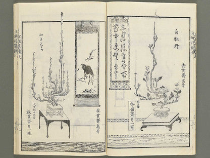 Soka bonseki shofu hana kagami (Part 1 of 3) / BJ352-891