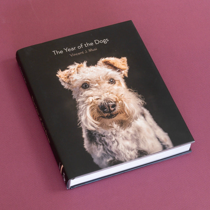 Year of the Dogs